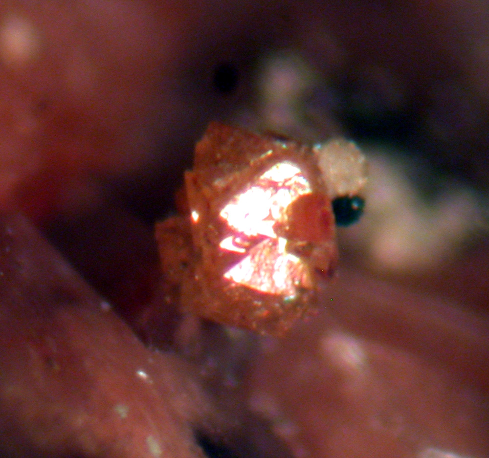 Xenotime-(Y) & Fluorite