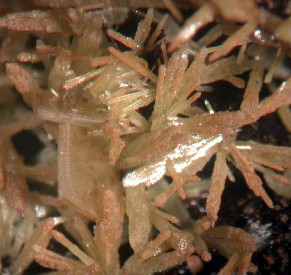 Wulfenite & Mimetite