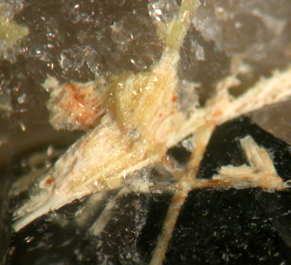 Bismutite & Wulfenite