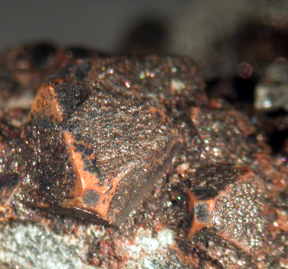 Cafarsite & Smoky Quartz