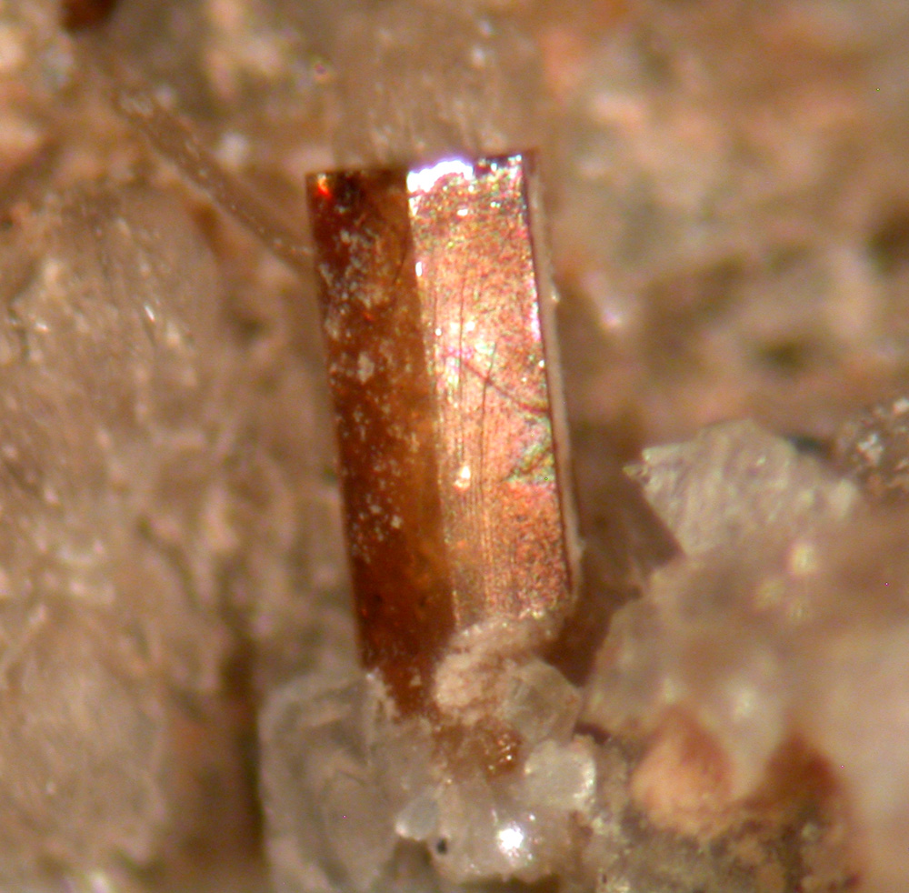 Nenadkevichite Fluorite & Catapleiite