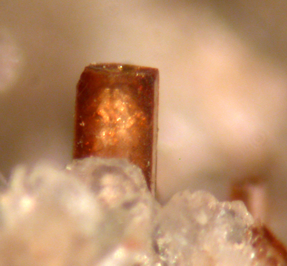 Nenadkevichite Fluorite & Catapleiite