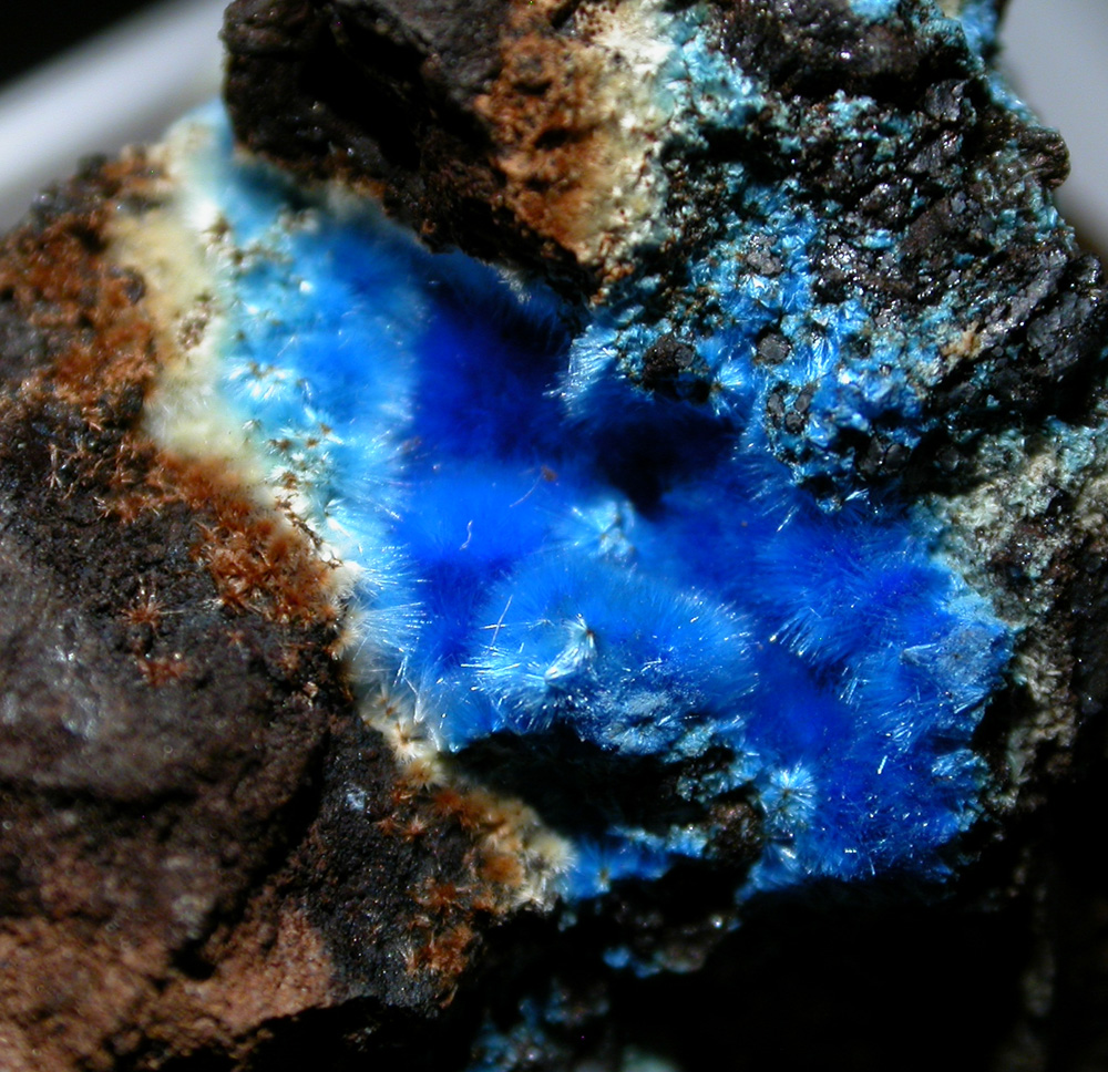 Cyanotrichite