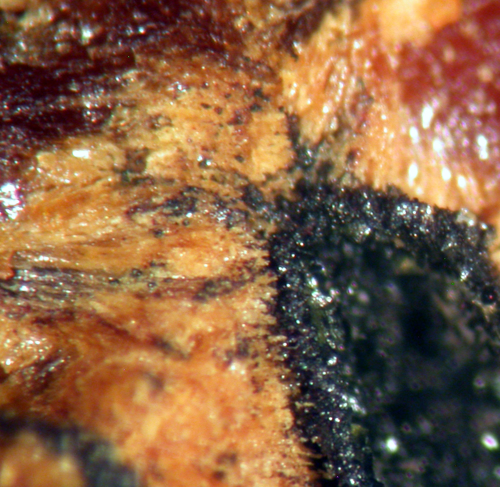 Tsumcorite & Duftite