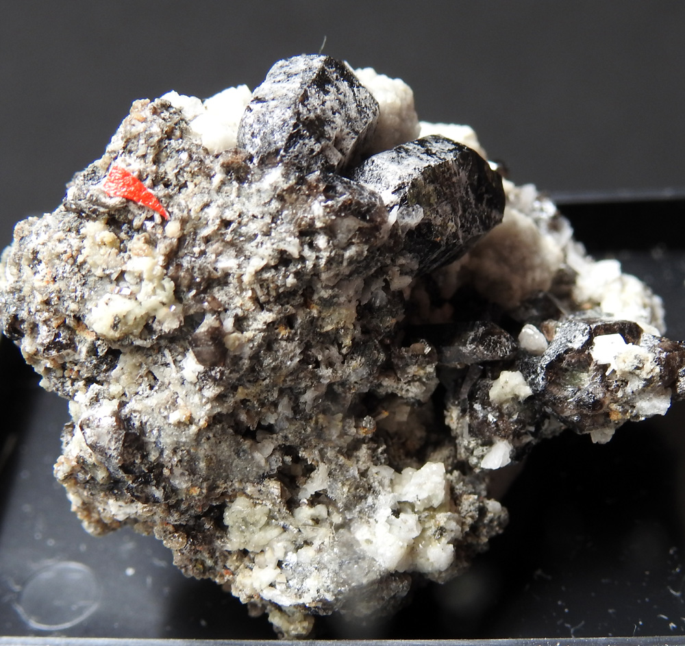 Hilairite & Gaidonnayite