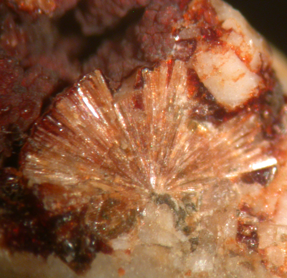 Lemoynite & Hisingerite