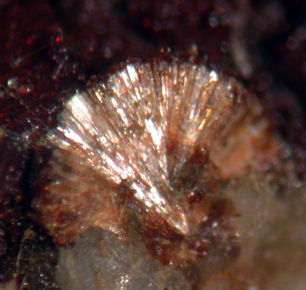 Lemoynite & Hisingerite