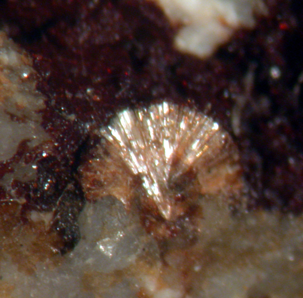 Lemoynite & Hisingerite