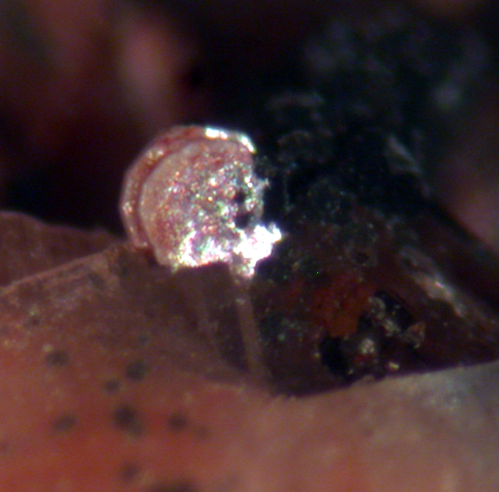 Synchysite-(Ce) & Gadolinite-(Y)