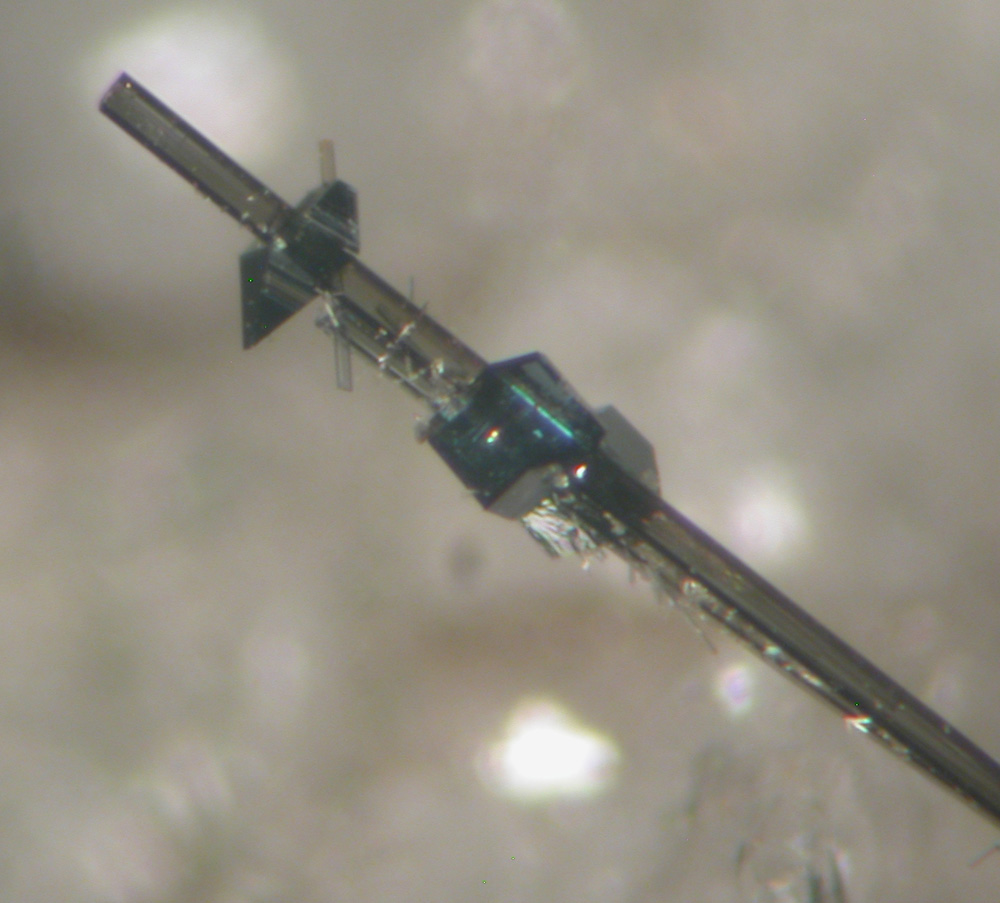 Tourmaline Anatase & Pyrite