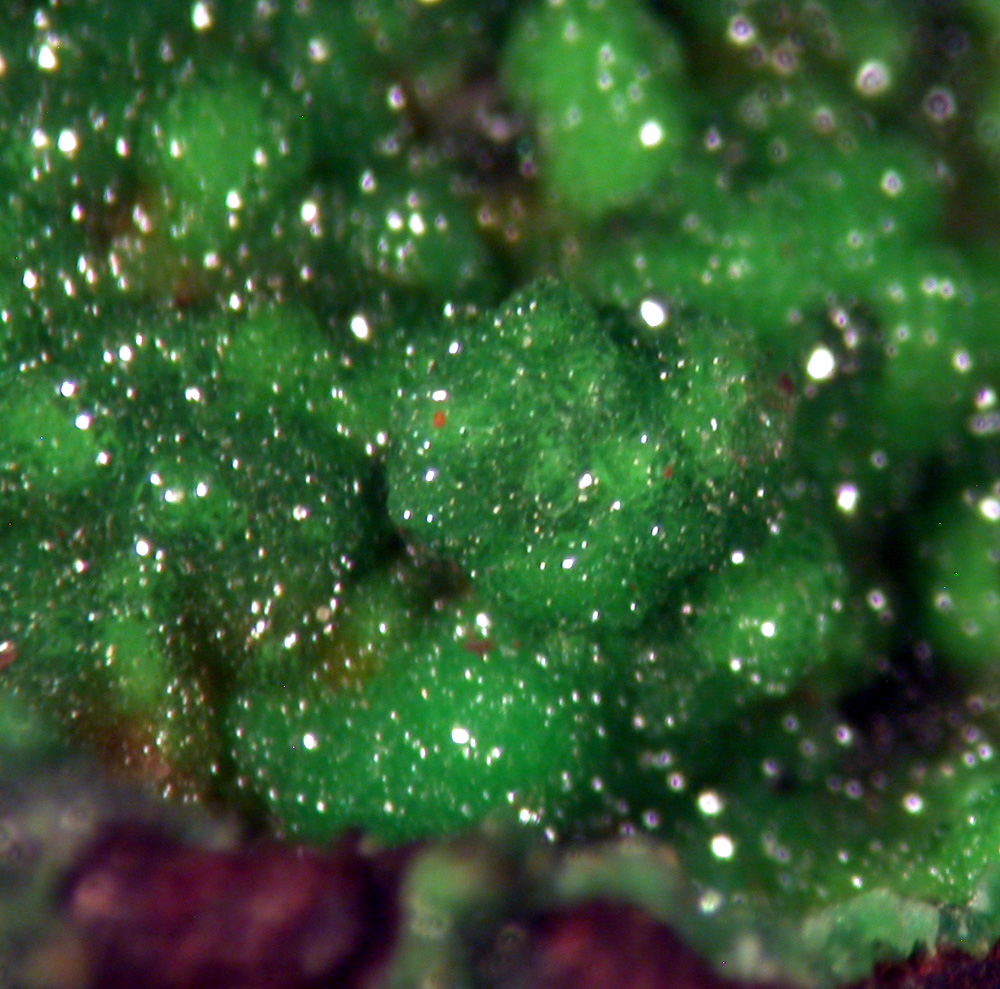 Conichalcite & Calcite