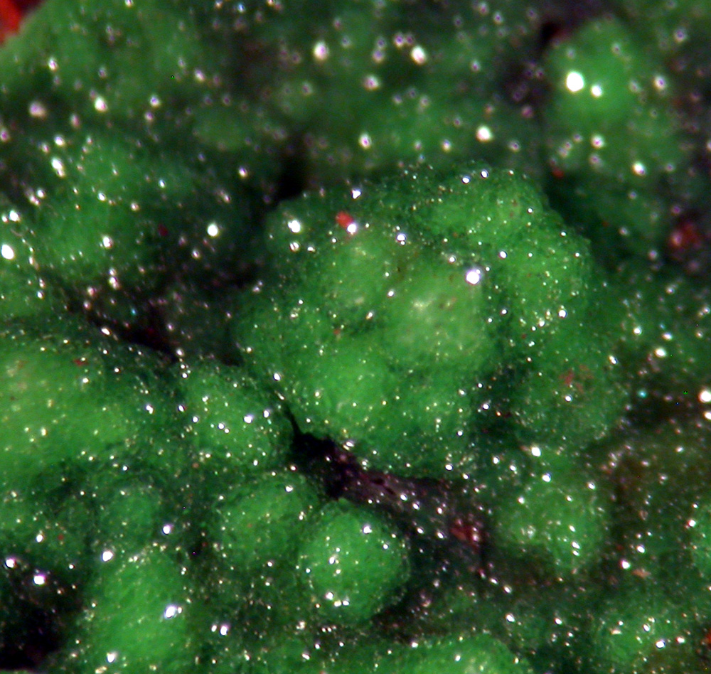 Conichalcite & Calcite