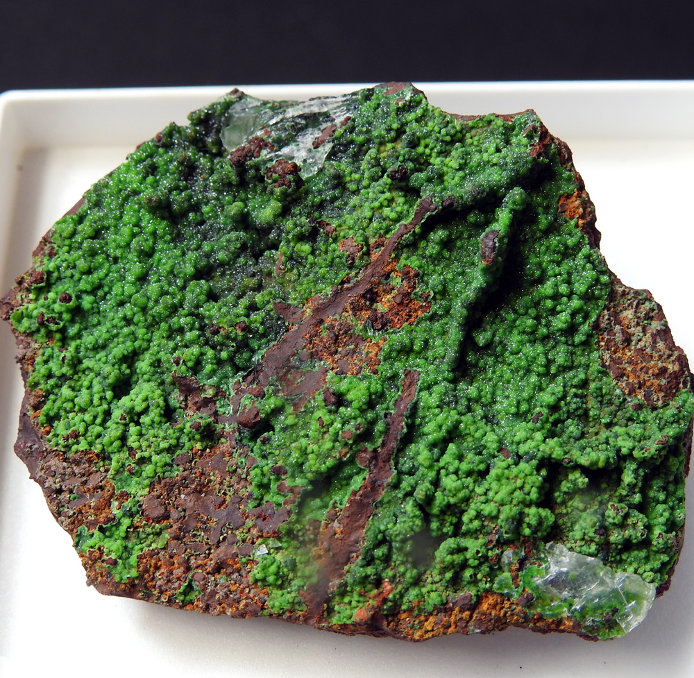 Conichalcite & Calcite