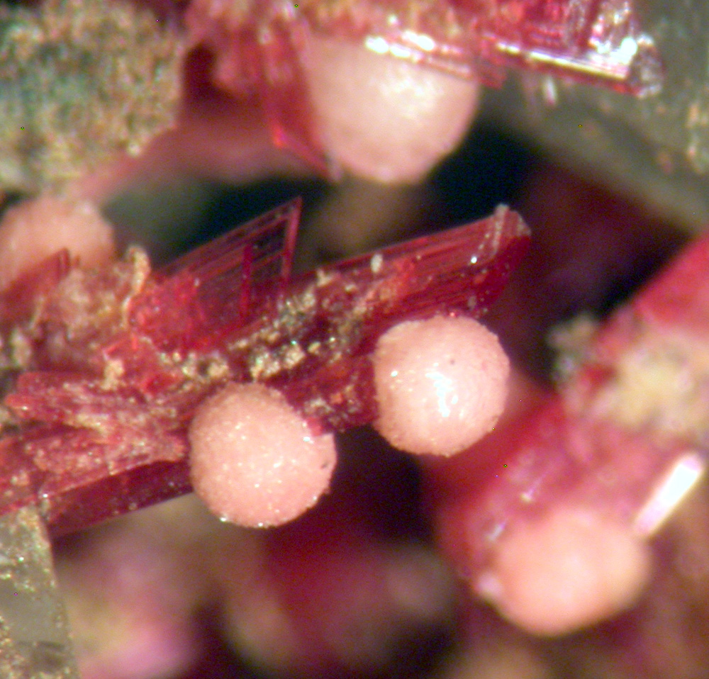 Talmessite & Erythrite