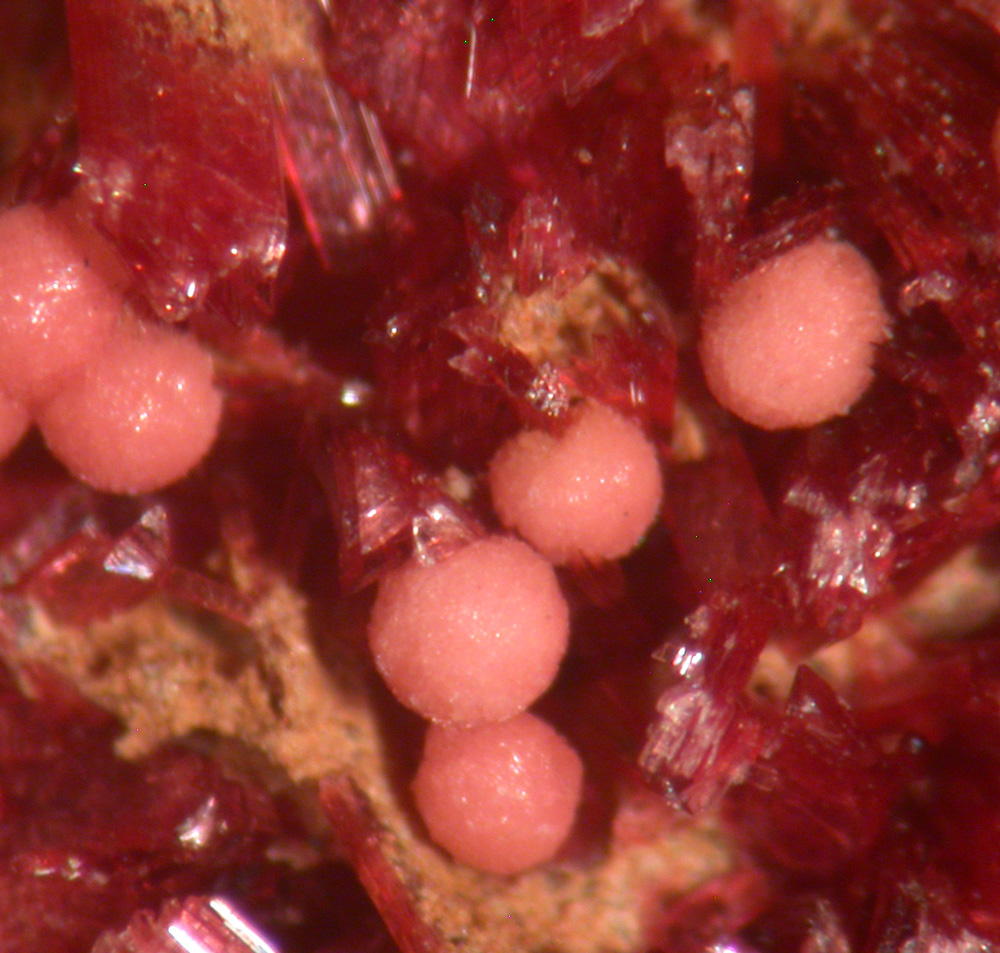 Talmessite & Erythrite