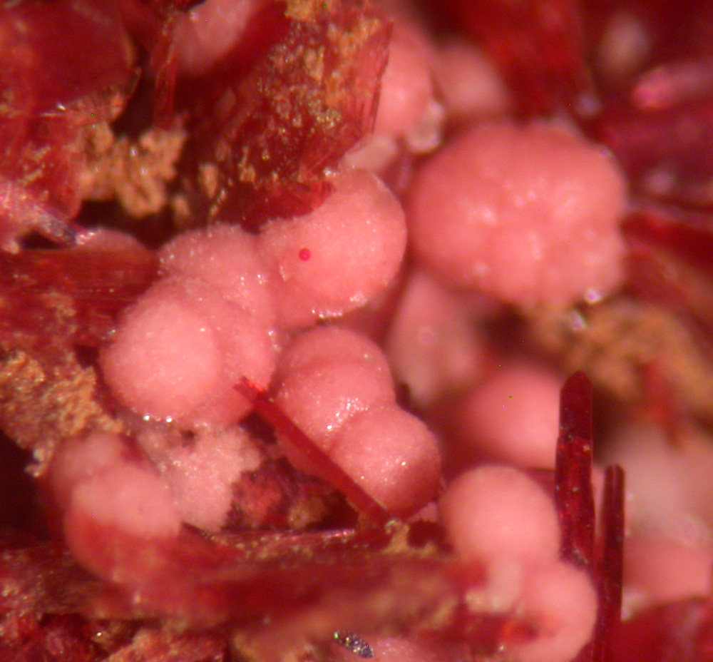 Talmessite & Erythrite