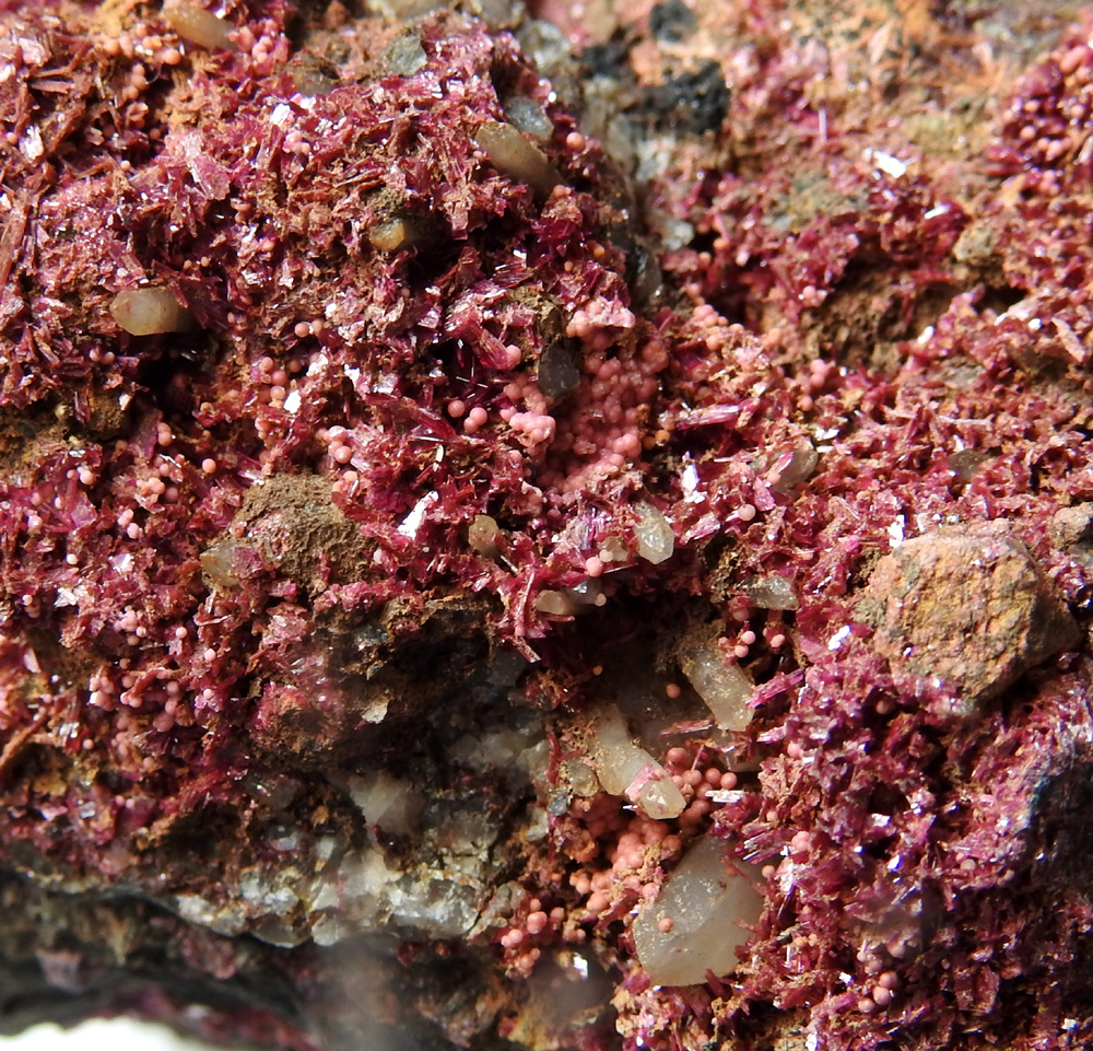 Talmessite & Erythrite