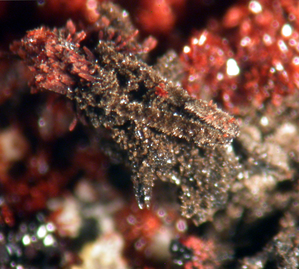 Bermanite Serrabrancaite & Phosphosiderite