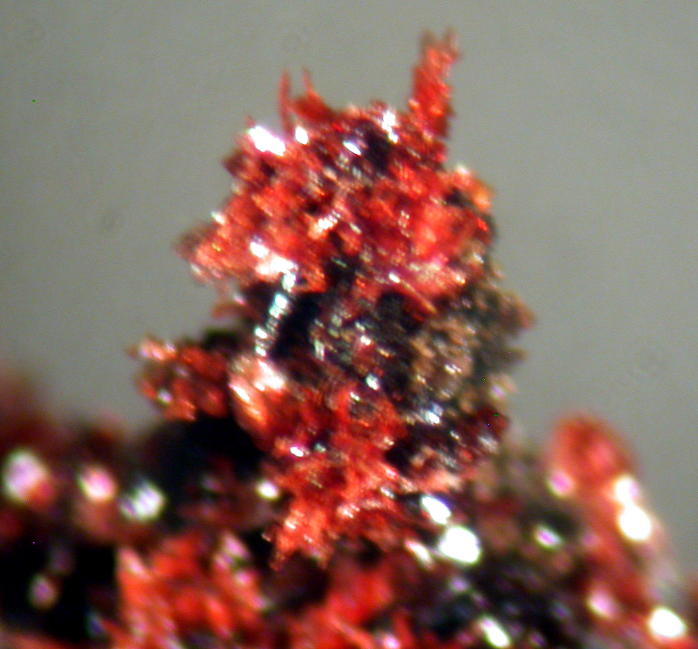 Bermanite Serrabrancaite & Phosphosiderite