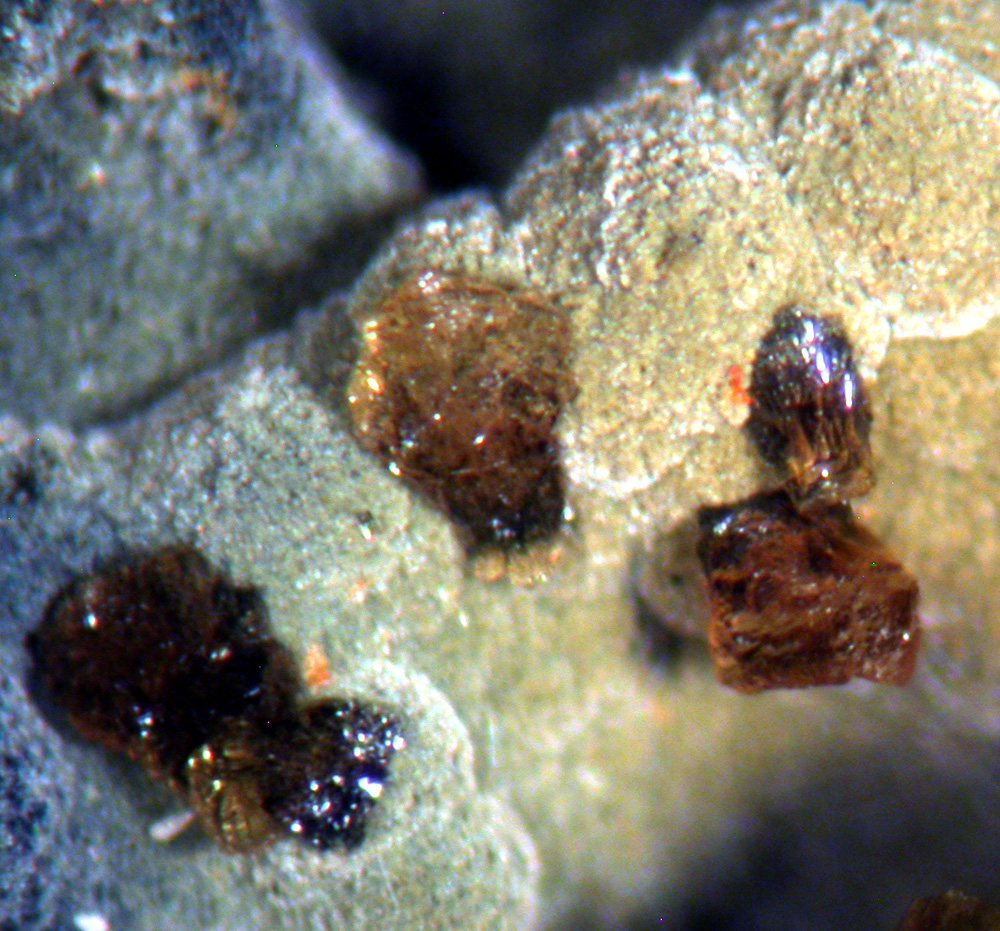 Jahnsite & Manganrockbridgeite