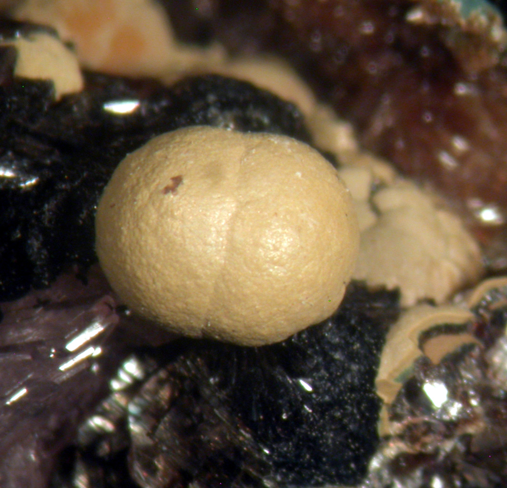 Mitridatite Hureaulite Leucophosphite & Rockbridgeite