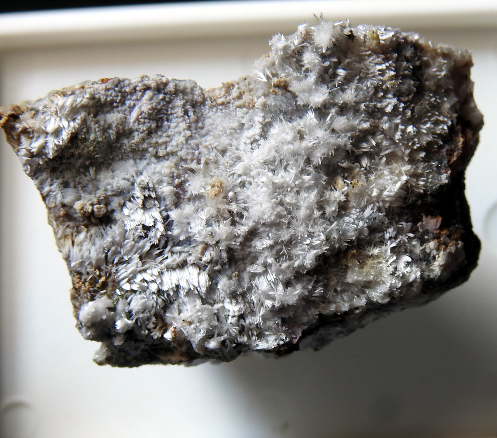 Vladimirite & Aragonite