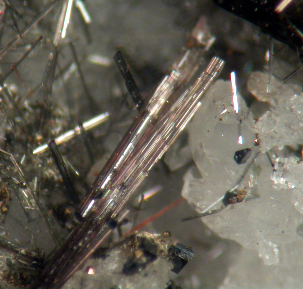 Anatase Tourmaline Calcite & Apatite