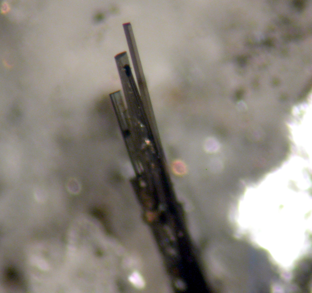 Anatase Tourmaline Calcite & Apatite