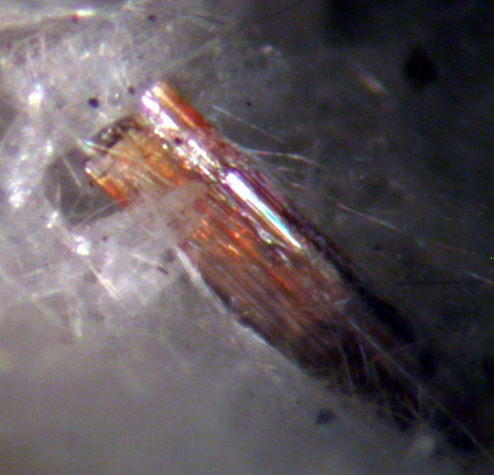 Vigezzite Fluorapatite & Roggianite