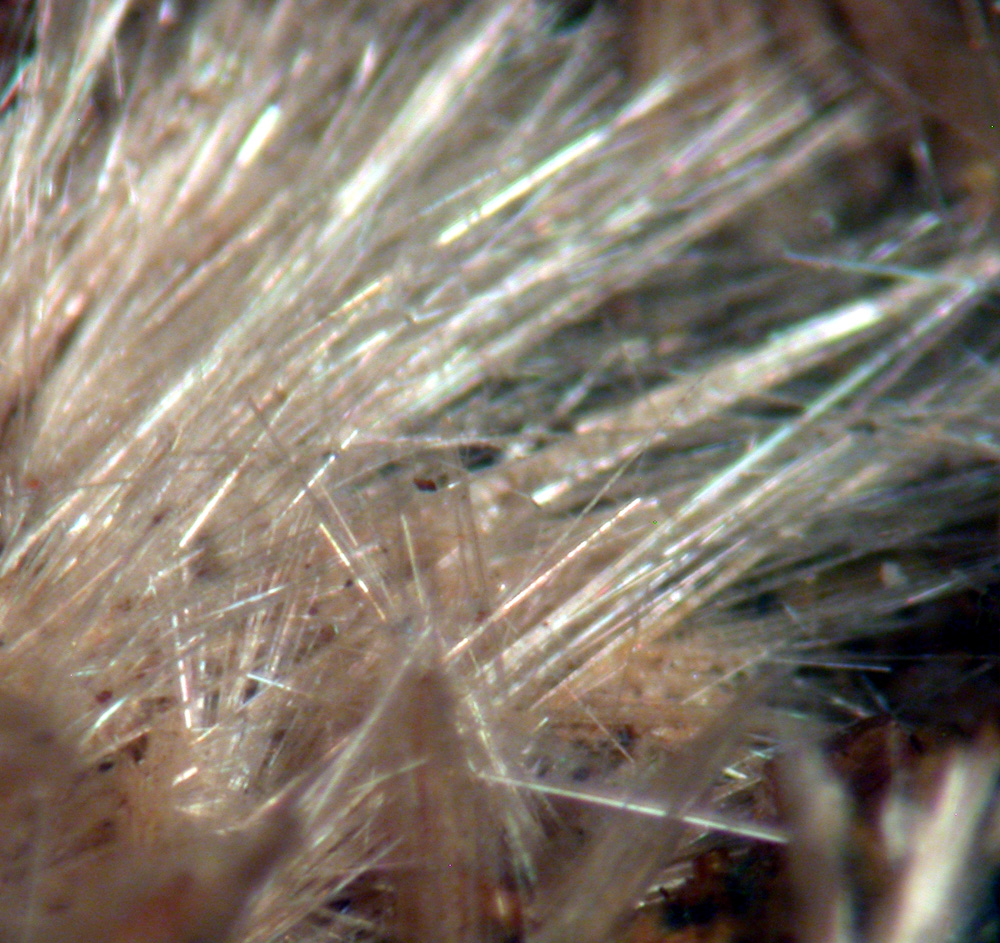 Strunzite Laueite & Pseudolaueite