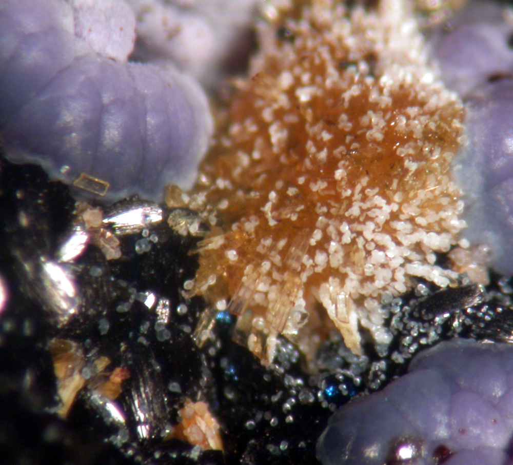 Strengite Rockbridgeite & Stewartite