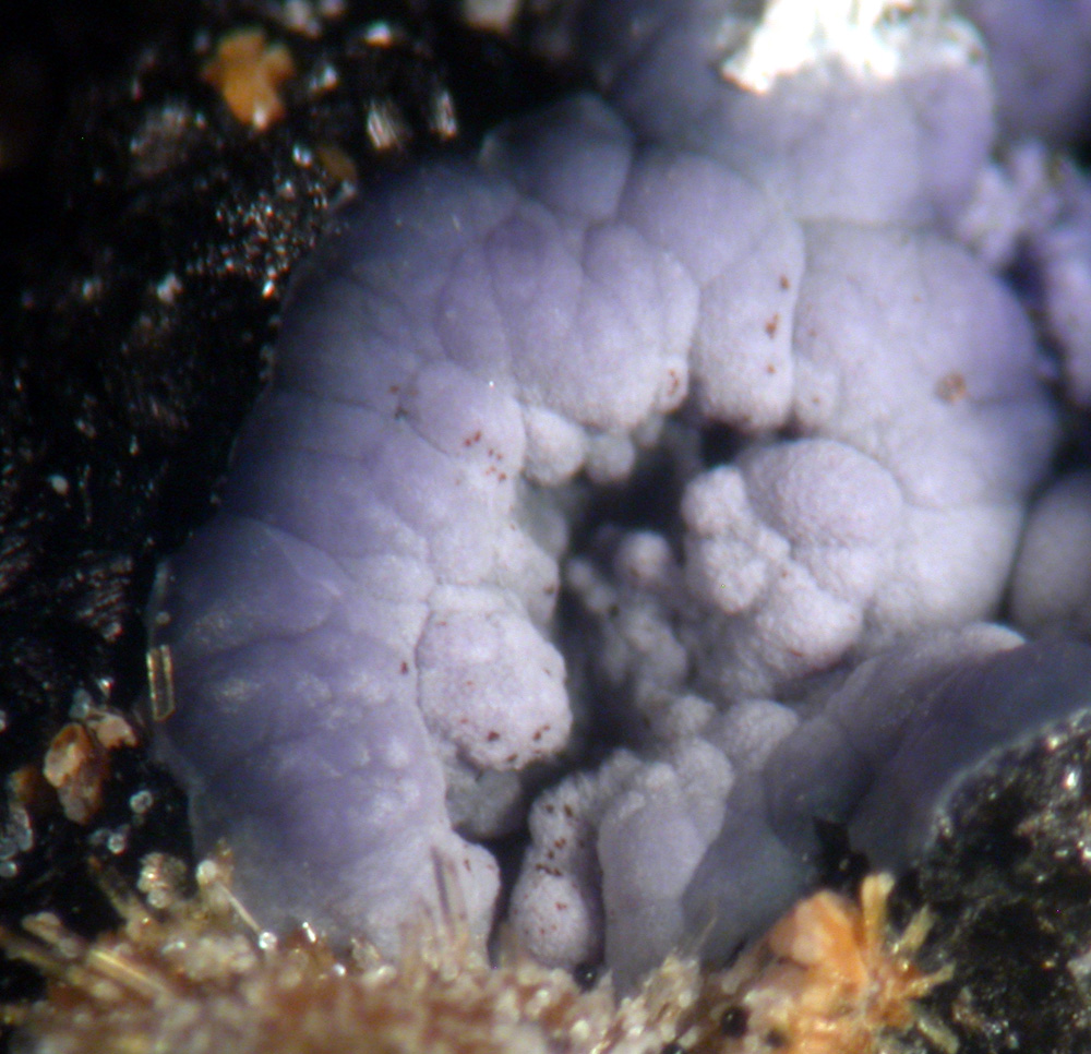 Strengite Rockbridgeite & Stewartite