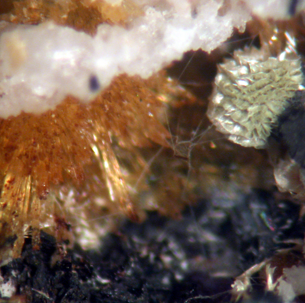 Jahnsite Stewartite Mitridatite & Strengite