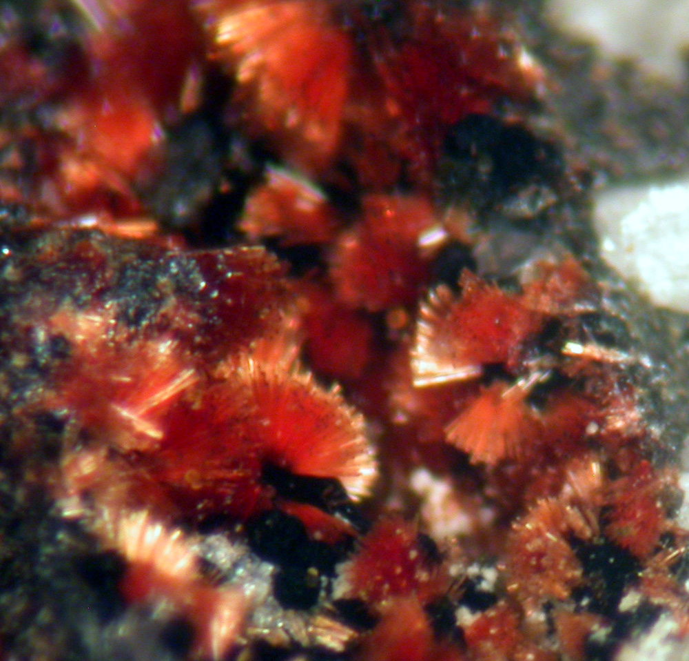 Beraunite & Frondelite