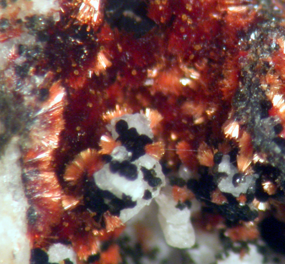 Beraunite & Frondelite