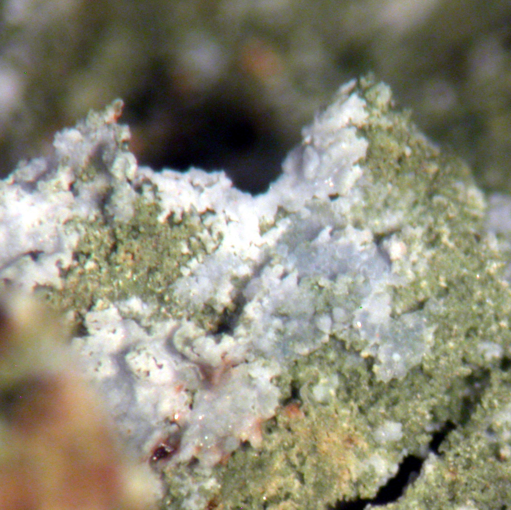 Hinsdalite & Strengite