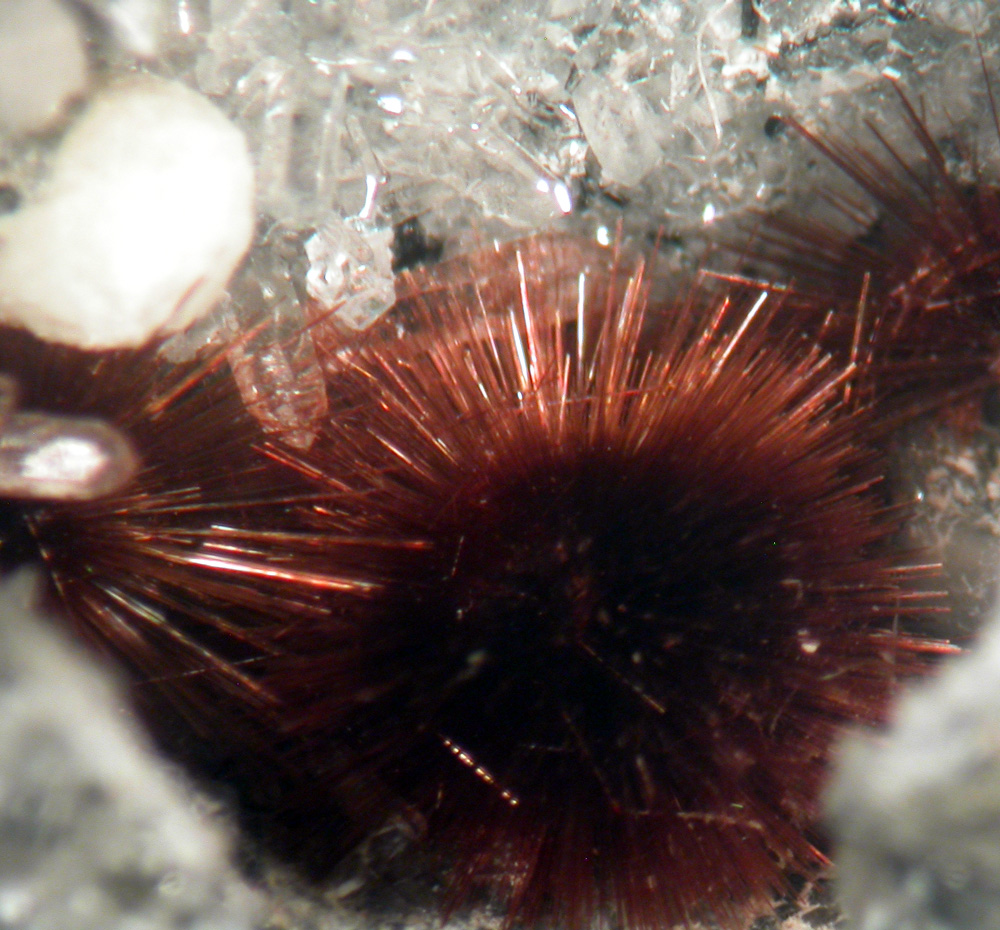 Fluorite Tuperssuatsiaite & Quartz