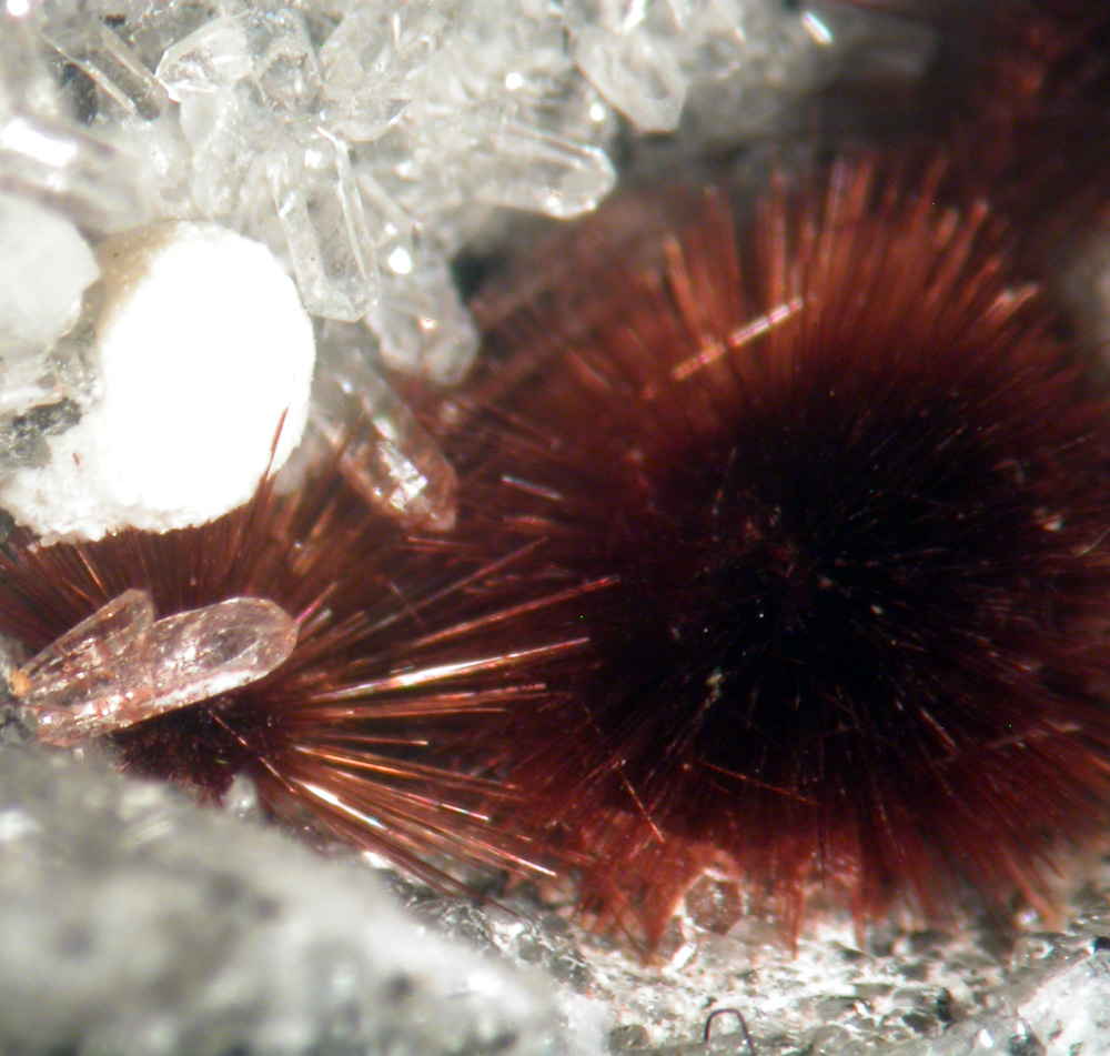 Fluorite Tuperssuatsiaite & Quartz