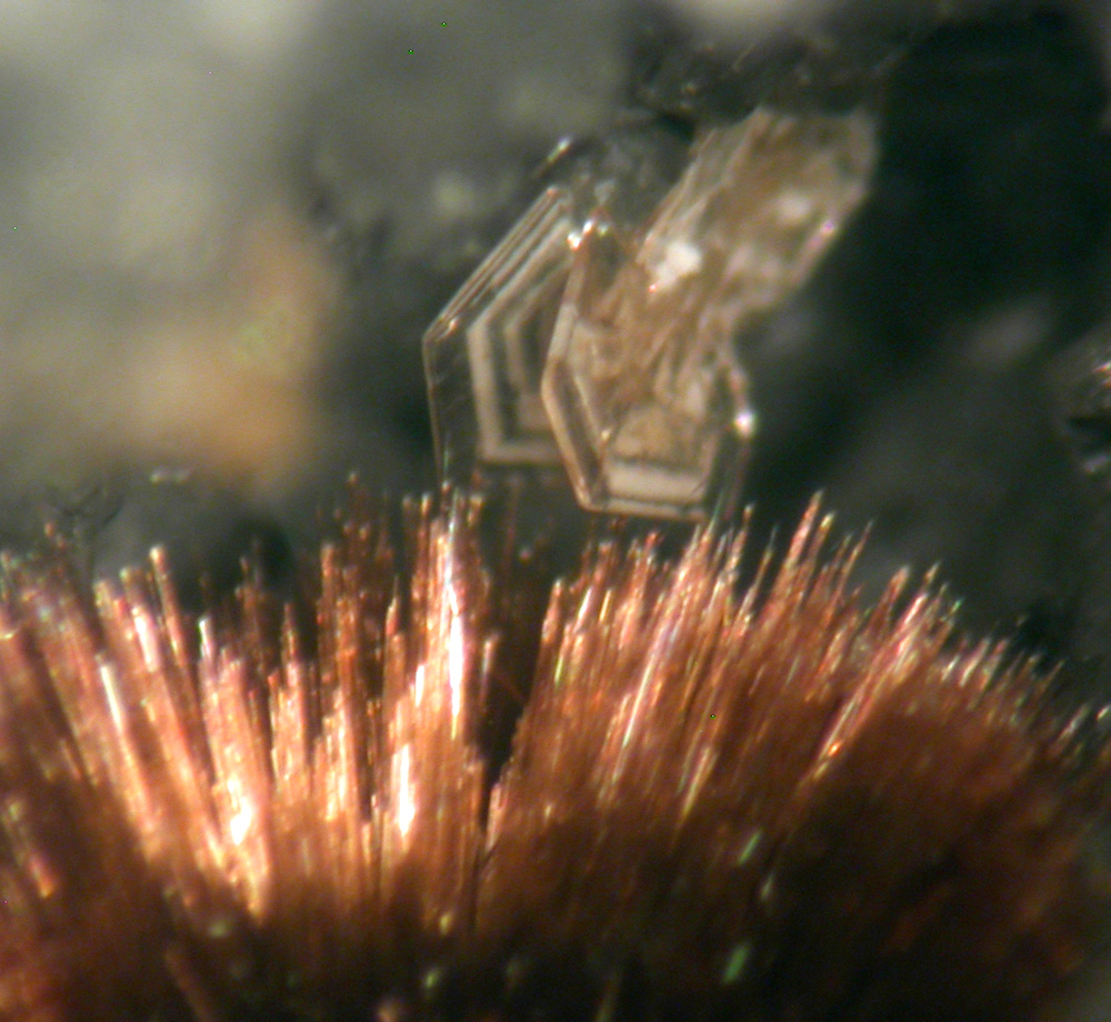 Arisite & Tuperssuatsiaite