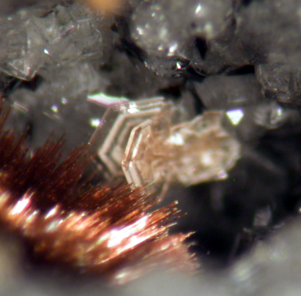 Arisite & Tuperssuatsiaite