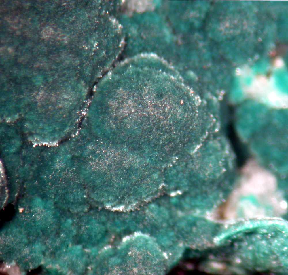 Rosasite