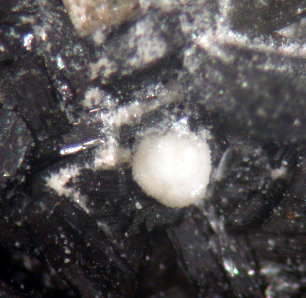 Kamphaugite-(Y) & Muscovite