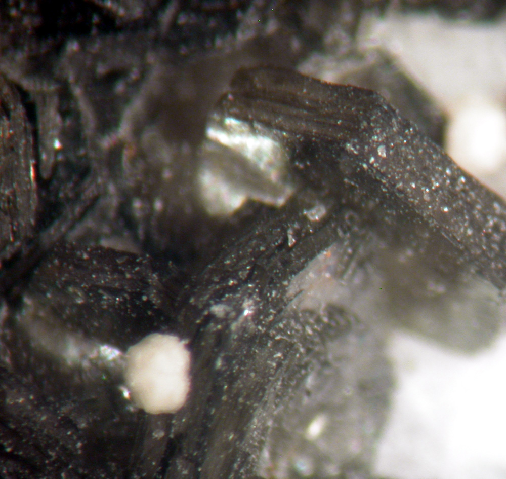 Kamphaugite-(Y) & Muscovite