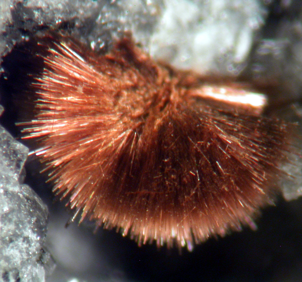 Fluorapatite Sphalerite & Tuperssuatsiaite
