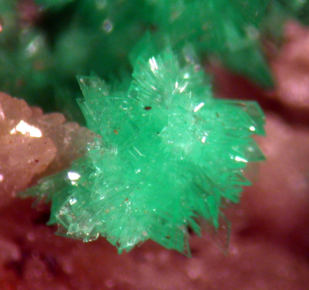 Annabergite