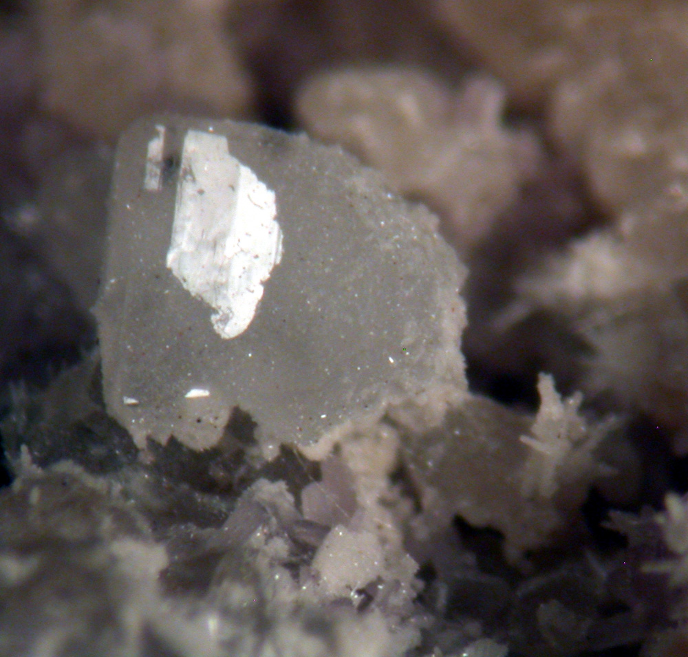 Calcioancylite-(Ce) Epididymite & Calcite