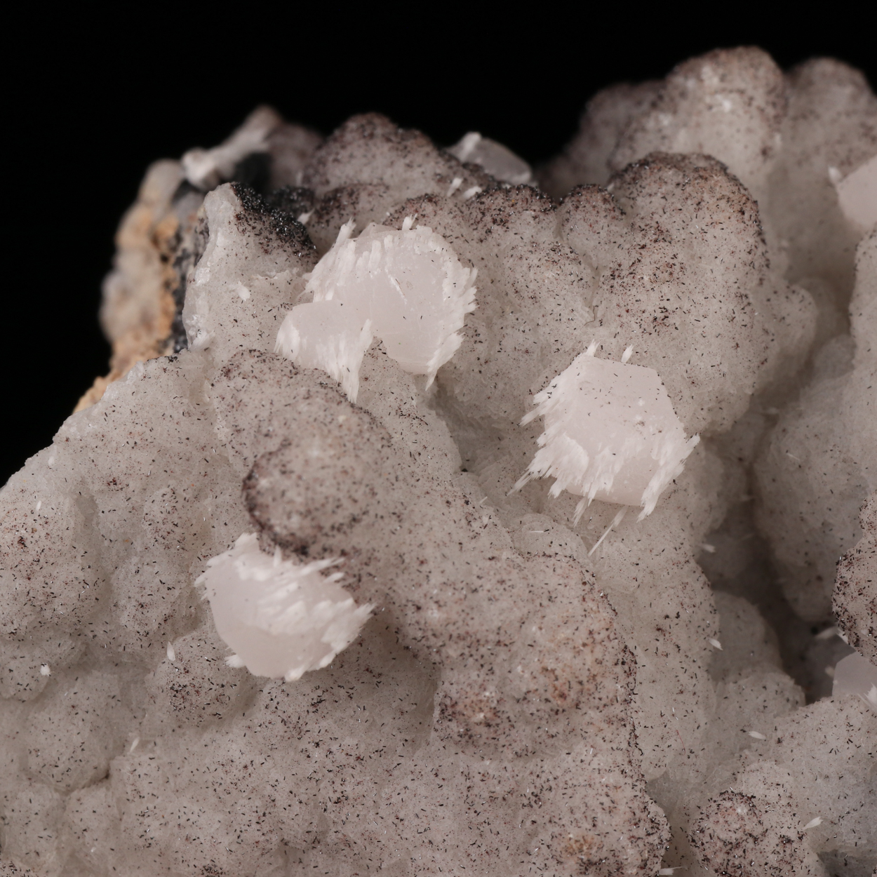 Calcite On Calcite With Manganite