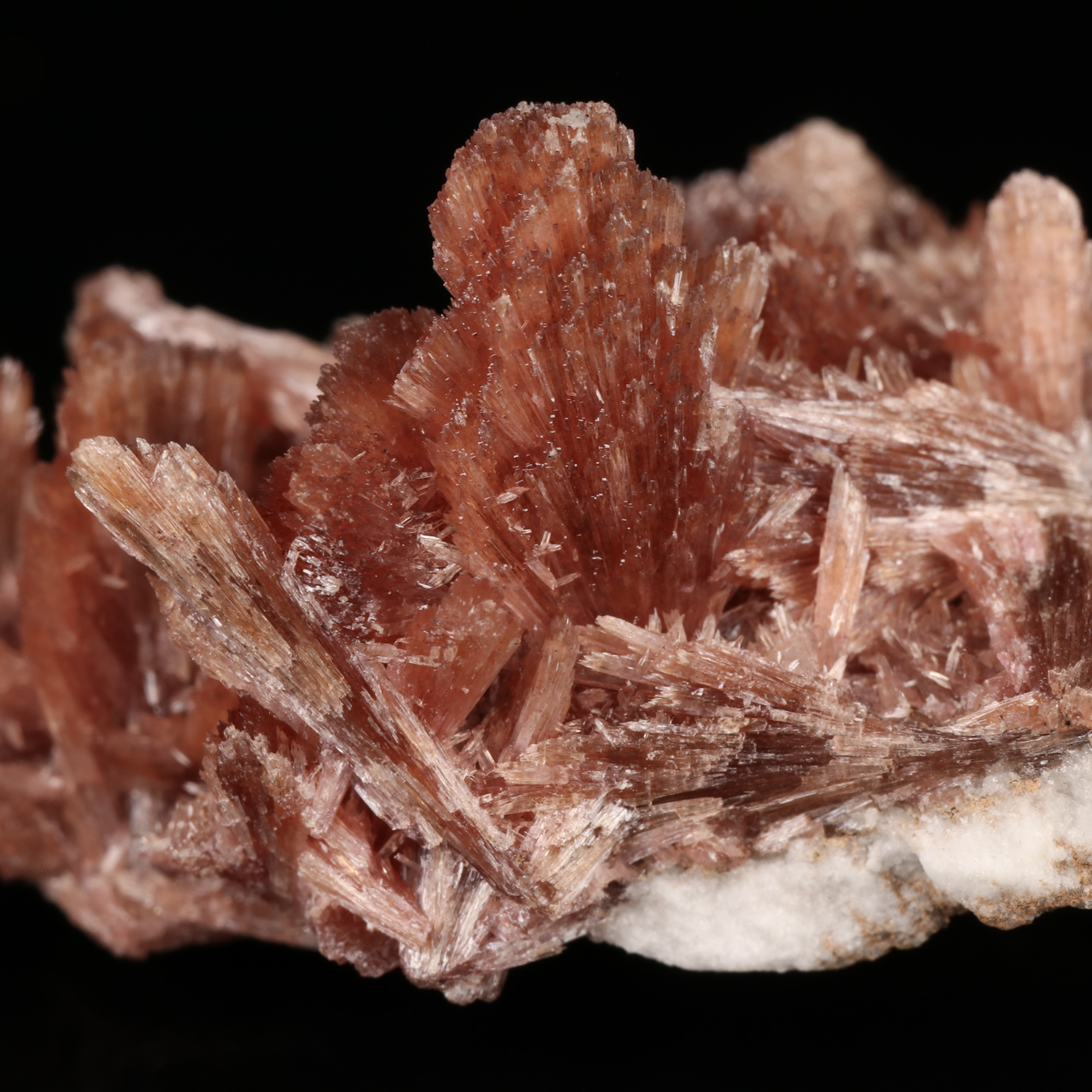 Inesite & Calcite