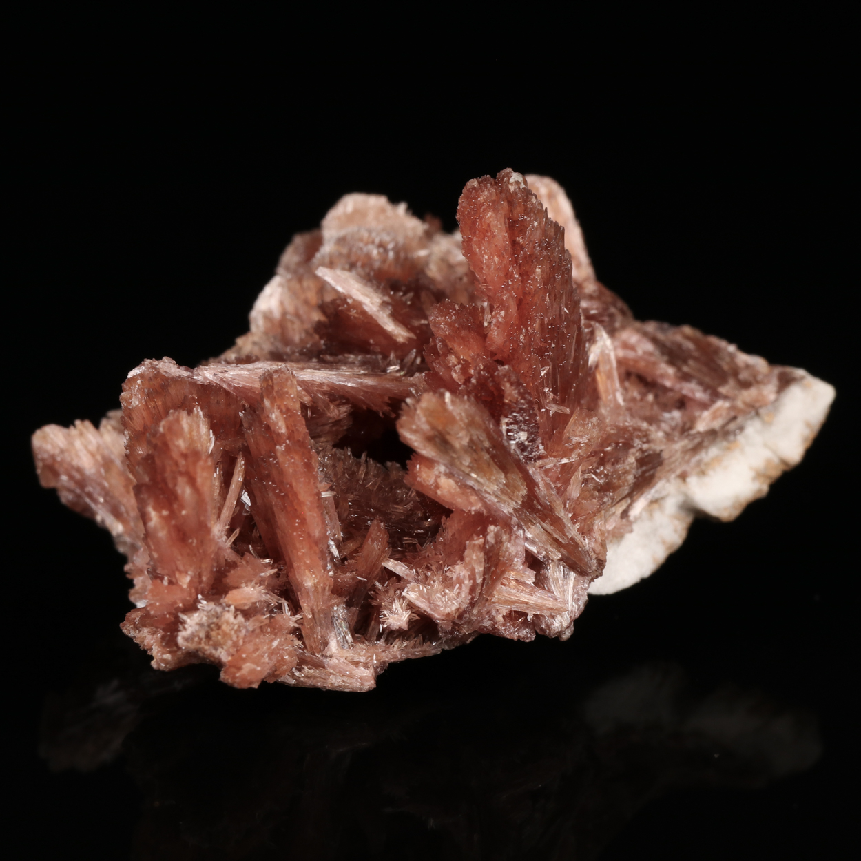 Inesite & Calcite