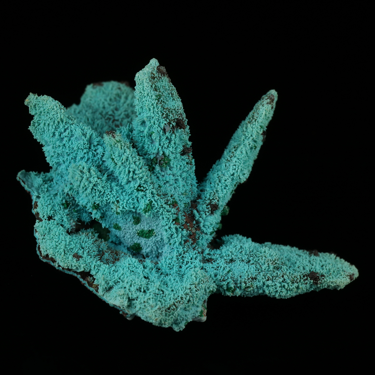 Malachite On Chrysocolla Psm Azurite